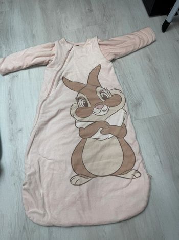 Gigoteuse chaude Disney 18-36 mois