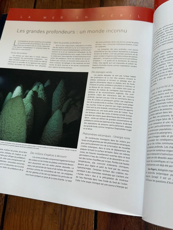 Grand beau livre Planète Mers Nicolas Hulot Laurent Ballesta Pierre Descamp Michel Lafon - photo numéro 11