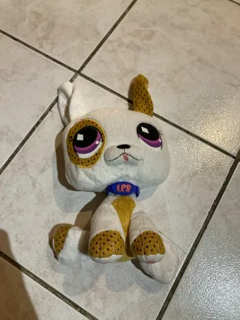 Chien petshop