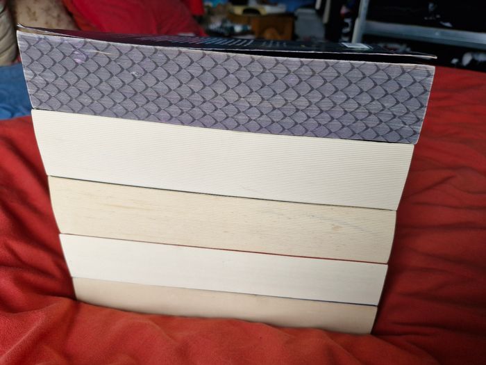 Intégrale Saga Eragon 5 tomes - photo numéro 5