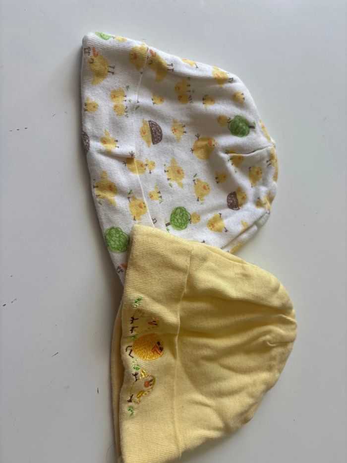 Bonnet