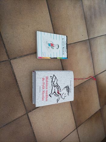 2 livres le petit Nicolas