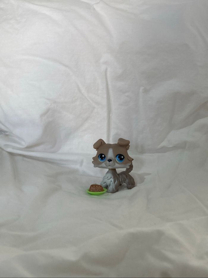 lps colley
