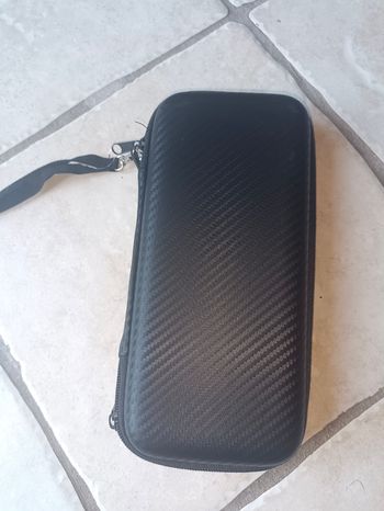 Pochette Nintendo Switch