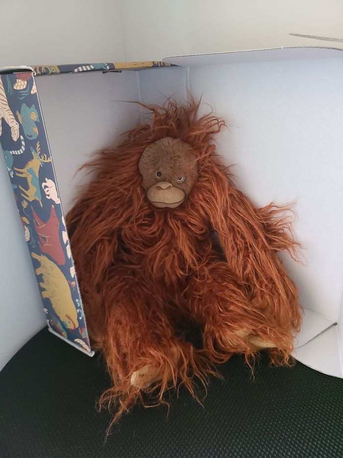 orang-outan - photo numéro 2