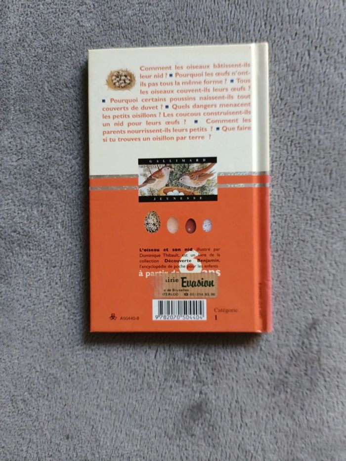 L'oiseau et son nid - photo numéro 2