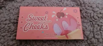 Palette teint sheglam
