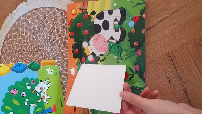 Lot 2 livres animés - photo numéro 3