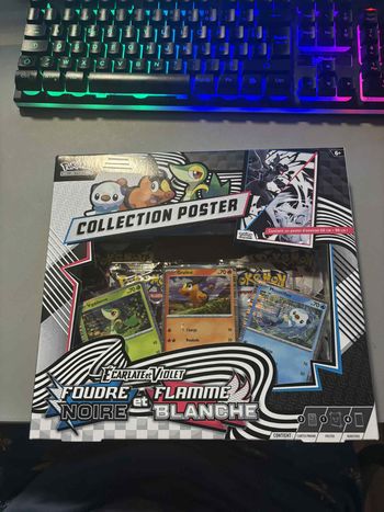 Foudre Noire & Flamme Blanche: Poster Collection