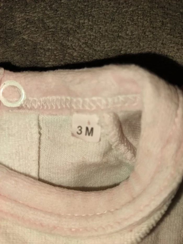 Grenouillere - photo numéro 4