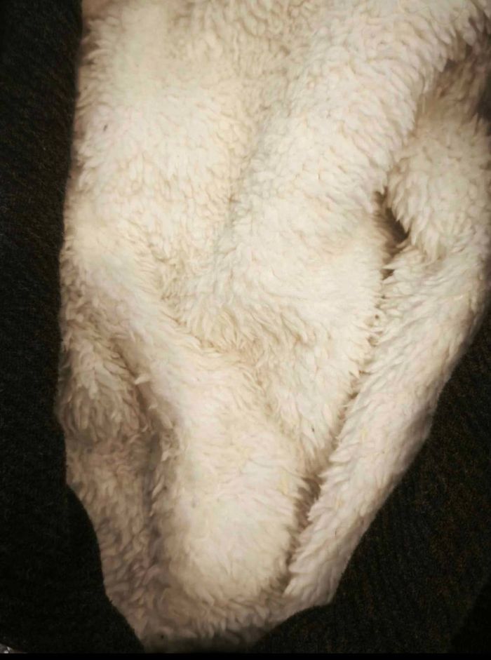 Sweat a capuche Pénélope - photo numéro 2