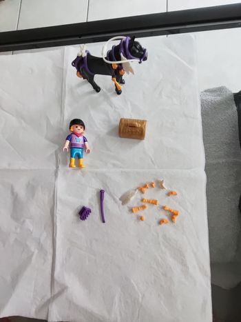 Poney étoile. Playmobil n°6970
