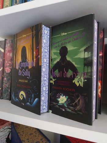 Deux Romans La Complainte de Sally et Au Bout du Rêve Twisted Tale Reliés Collectors avec jaspage