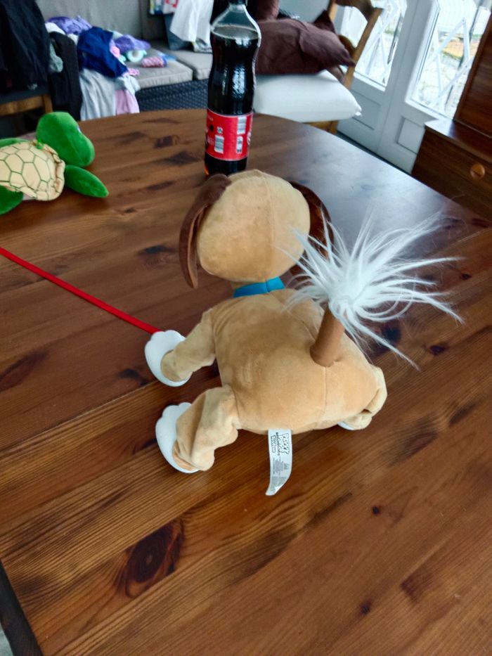 Chien toufou - photo numéro 3