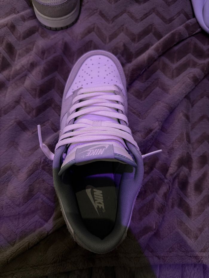 Dunk édition limitée - photo numéro 6