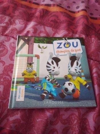 Zou champion de foot