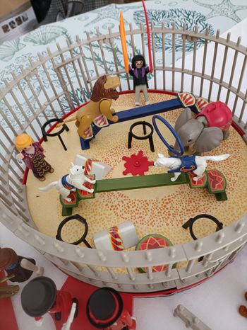 Gros lot playmobil cirque