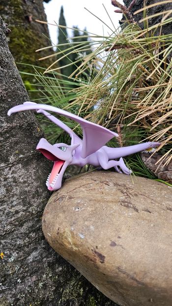Super figurine Pokemon Ptera