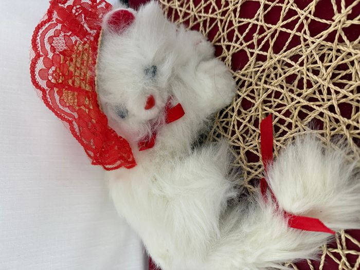 Chat en peluche vintage blanc couché chapeau dentelle rouge et flo rouge