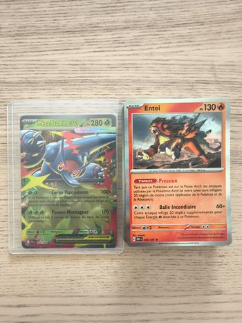 Lot cartes Pokémon - Méga Scarhino ex