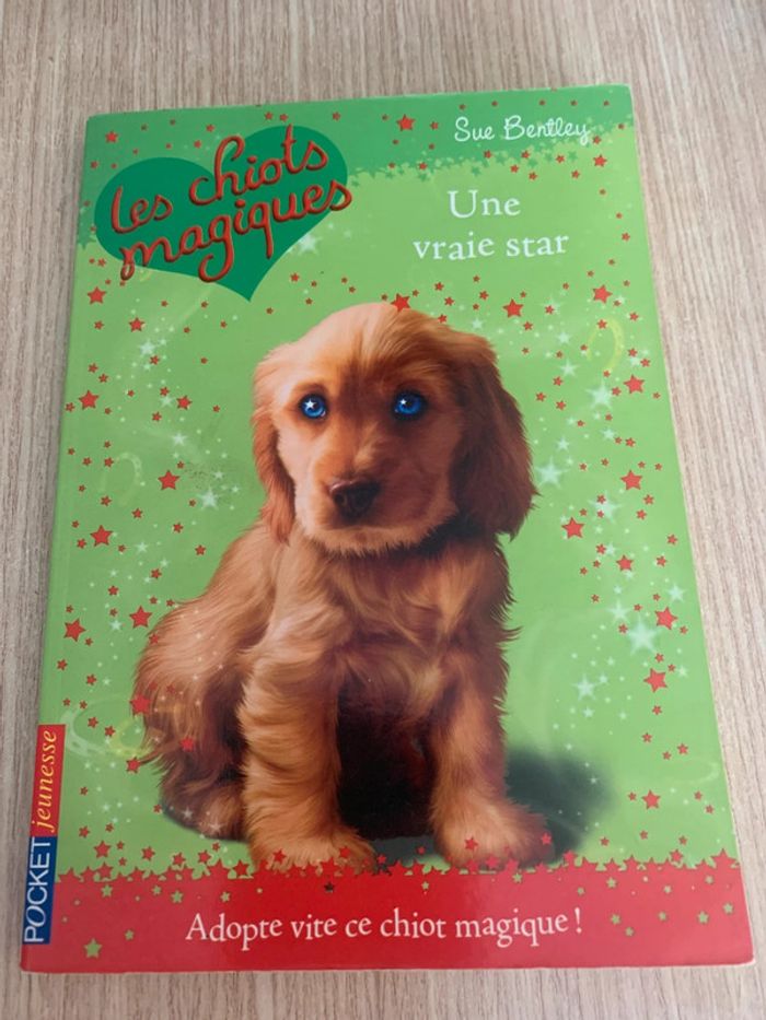 Livre les chiots magiques