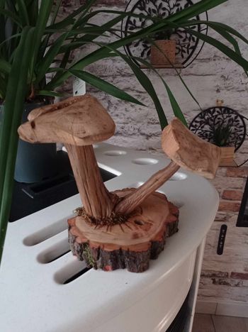 Champignons en bois fait main