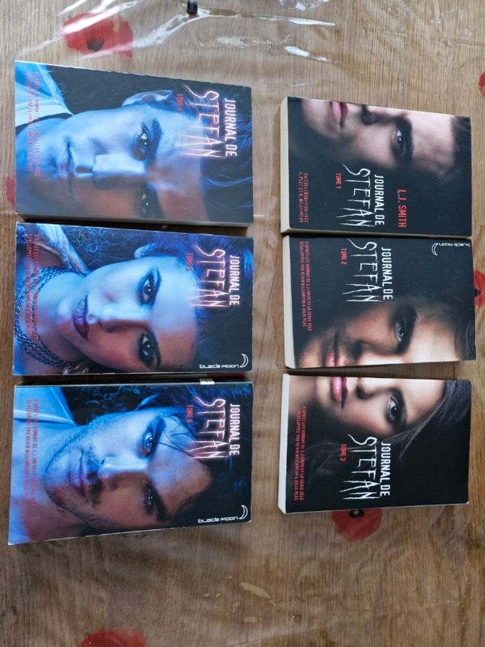 Vampire Diaries les livres de la saga - photo numéro 4