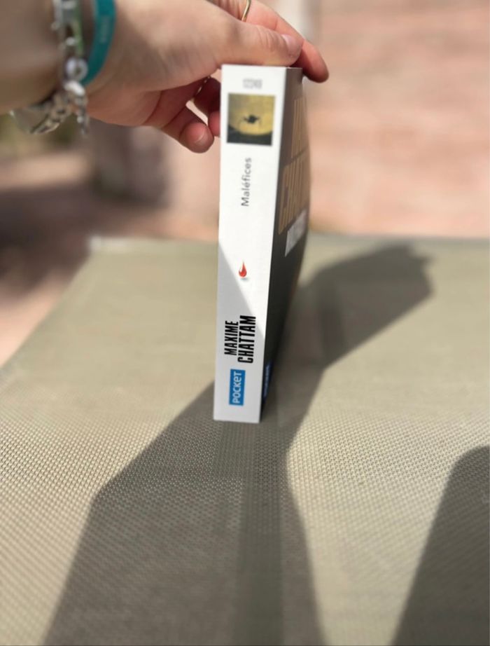 Livre policier adulte - photo numéro 3