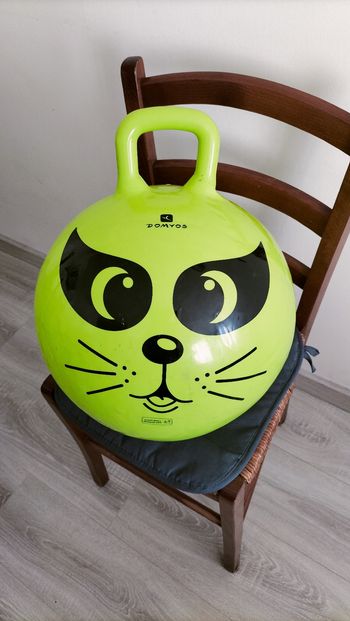 Ballon sauteur 45 cm 