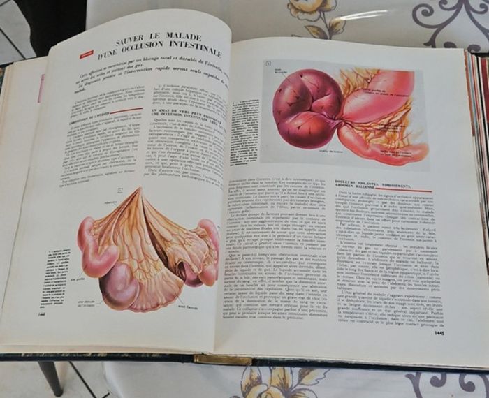 Encyclopédie médicale pour tous - photo numéro 5