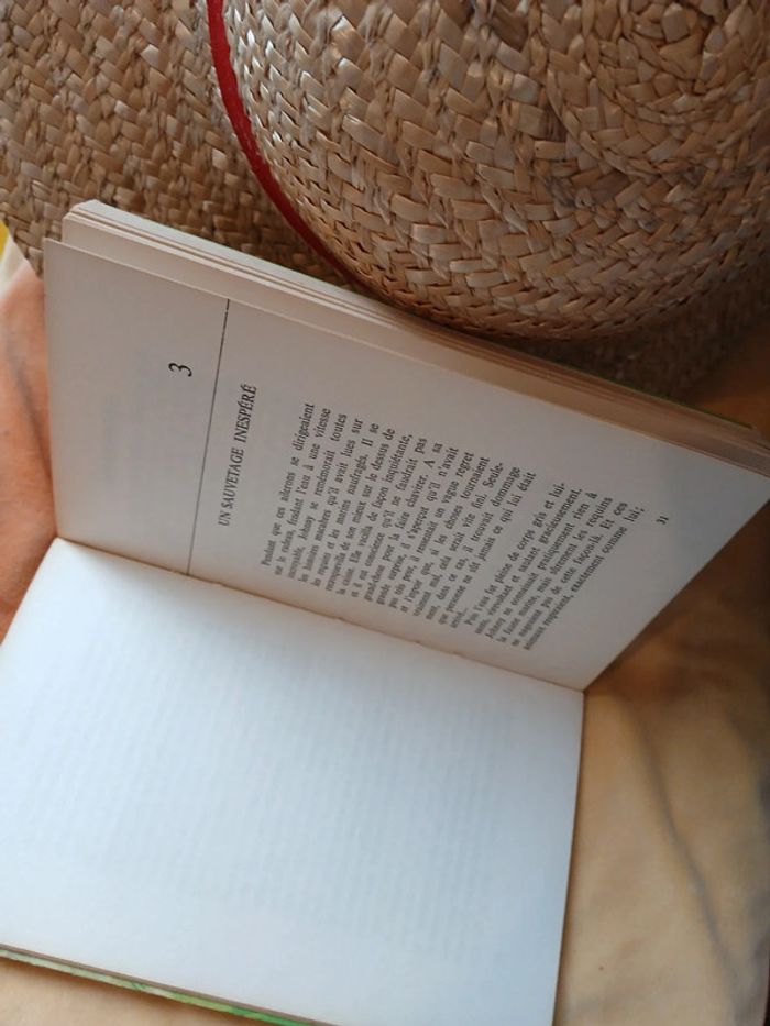 L'île des dauphins - photo numéro 3