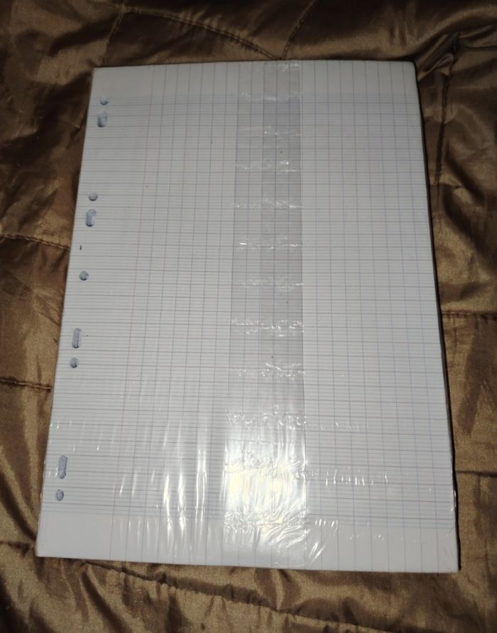 Lot 420 feuilles copies doubles oxford - photo numéro 2