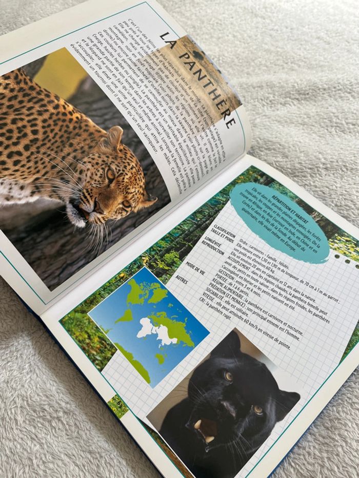 Livre atlas des animaux - photo numéro 3