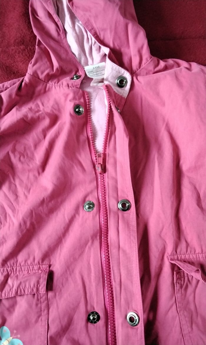 Blouson à capuche,  fermeture et pressions  ,poches,  papillon  ,Graine D 'Eveil, 3 ans - photo numéro 3