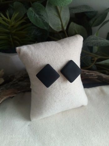 Boucles d'oreilles noires veloutées