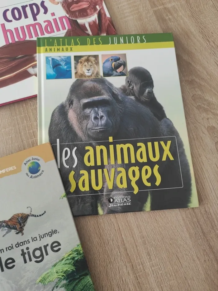 Lot livre édition atlas - photo numéro 6