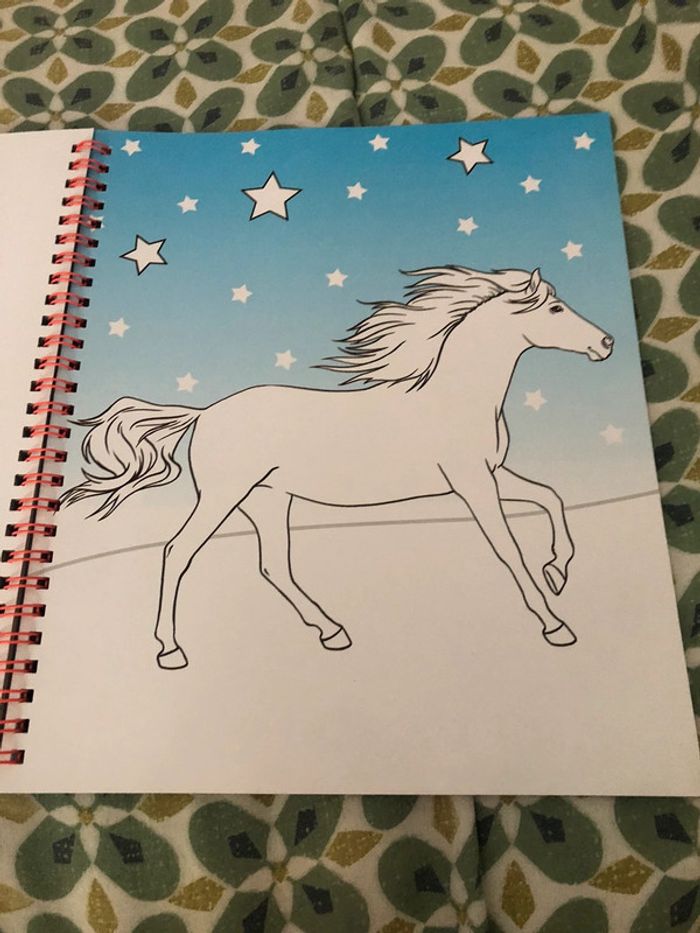 Livre de coloriage miss Mélody - photo numéro 14