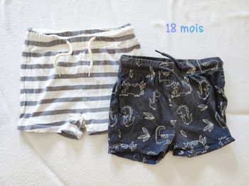 Short lot 18, mois