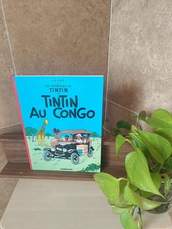 Livre enfant Tintin au Congo