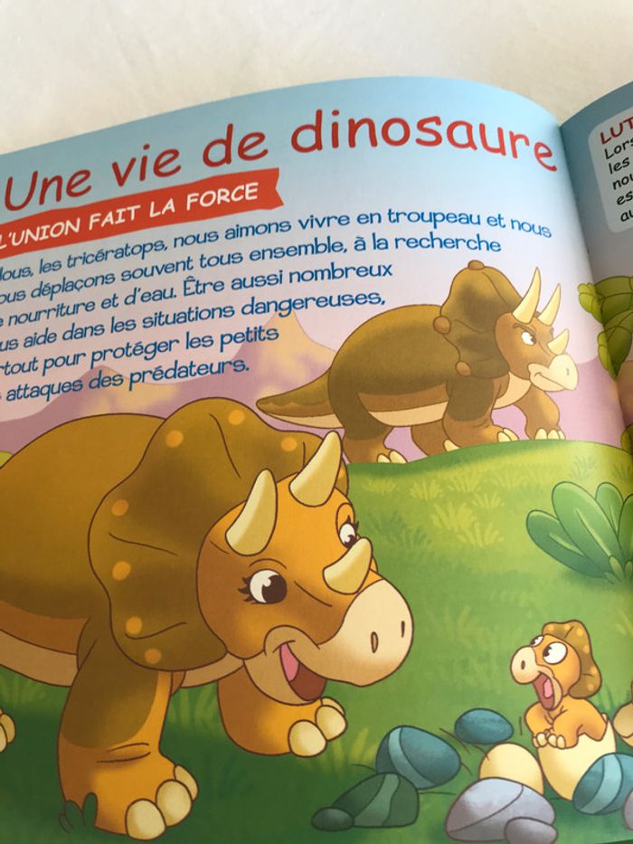 Livre Le Tricératops - photo numéro 3