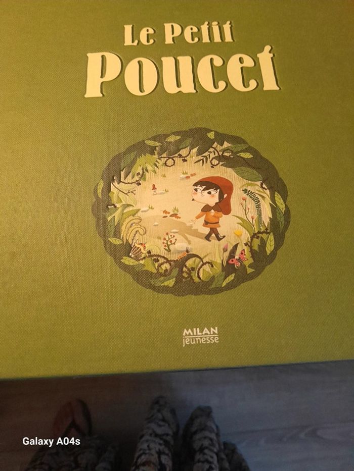 Le petit poucet