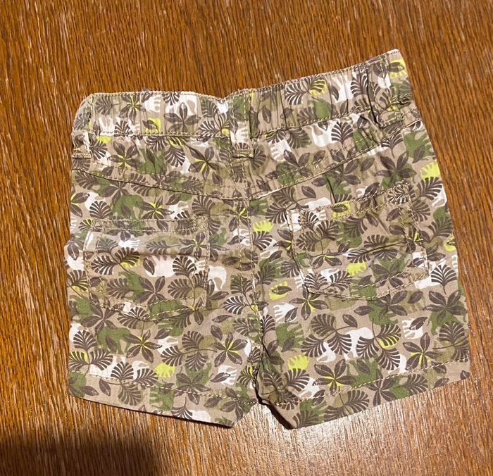 Short safari - photo numéro 3