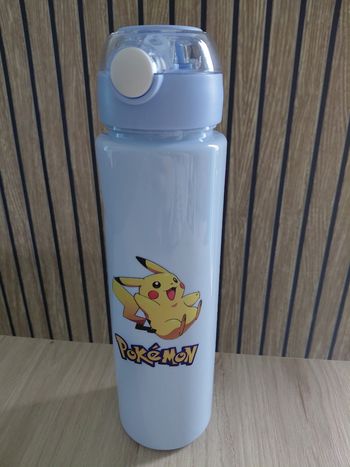 Gourde pokemon 
