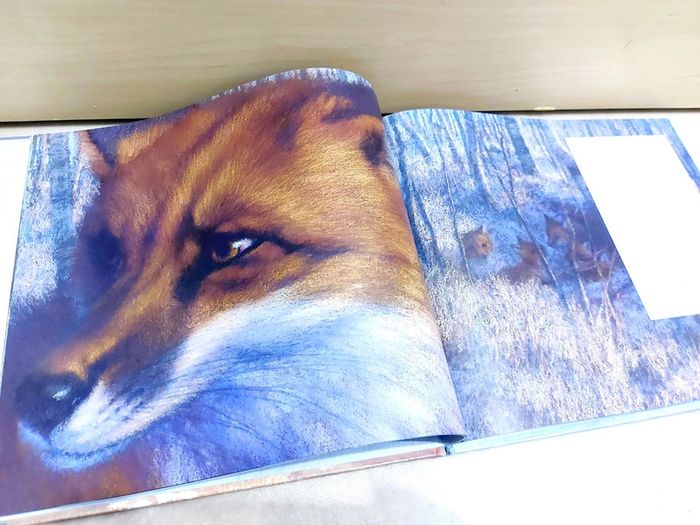 📕 Livre : Le cygne argenté - photo numéro 4