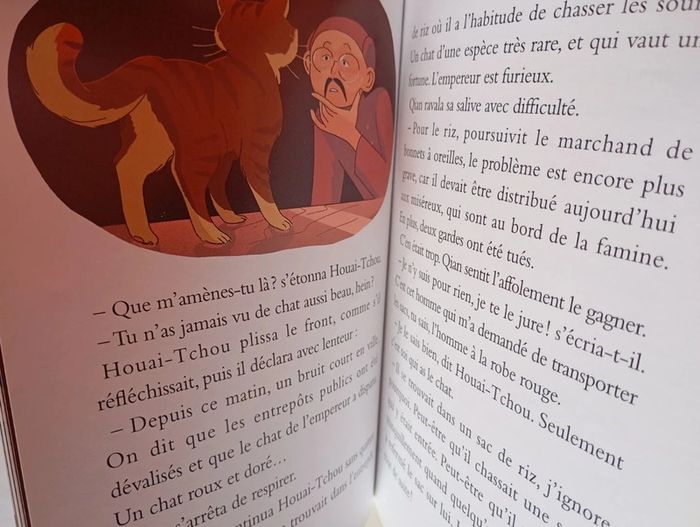 Le chat de l'empereur de Chine - photo numéro 4