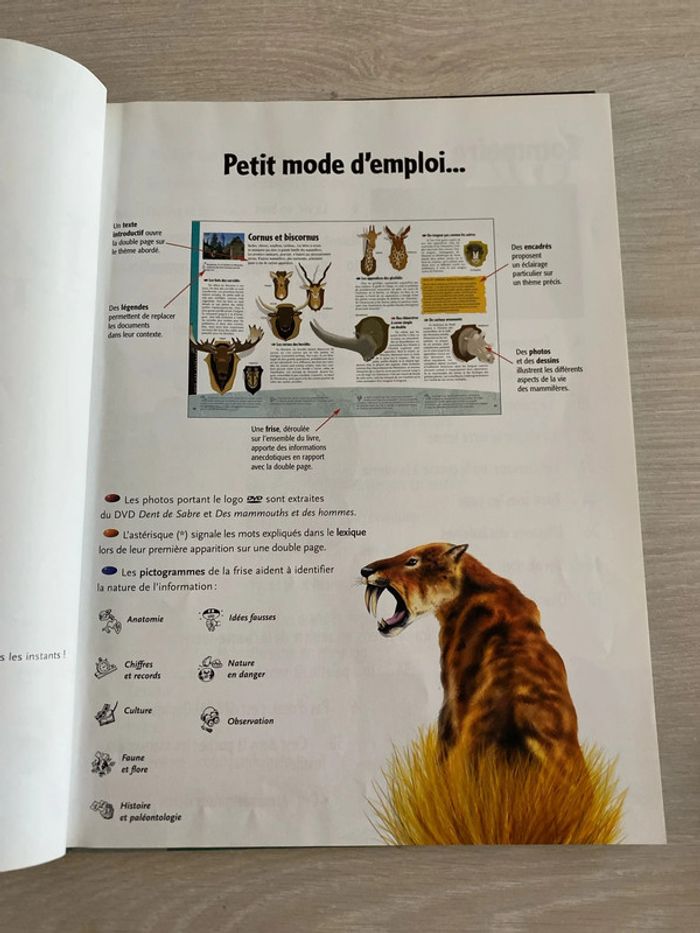 Livre et DVD Les mammifères disparus - photo numéro 5