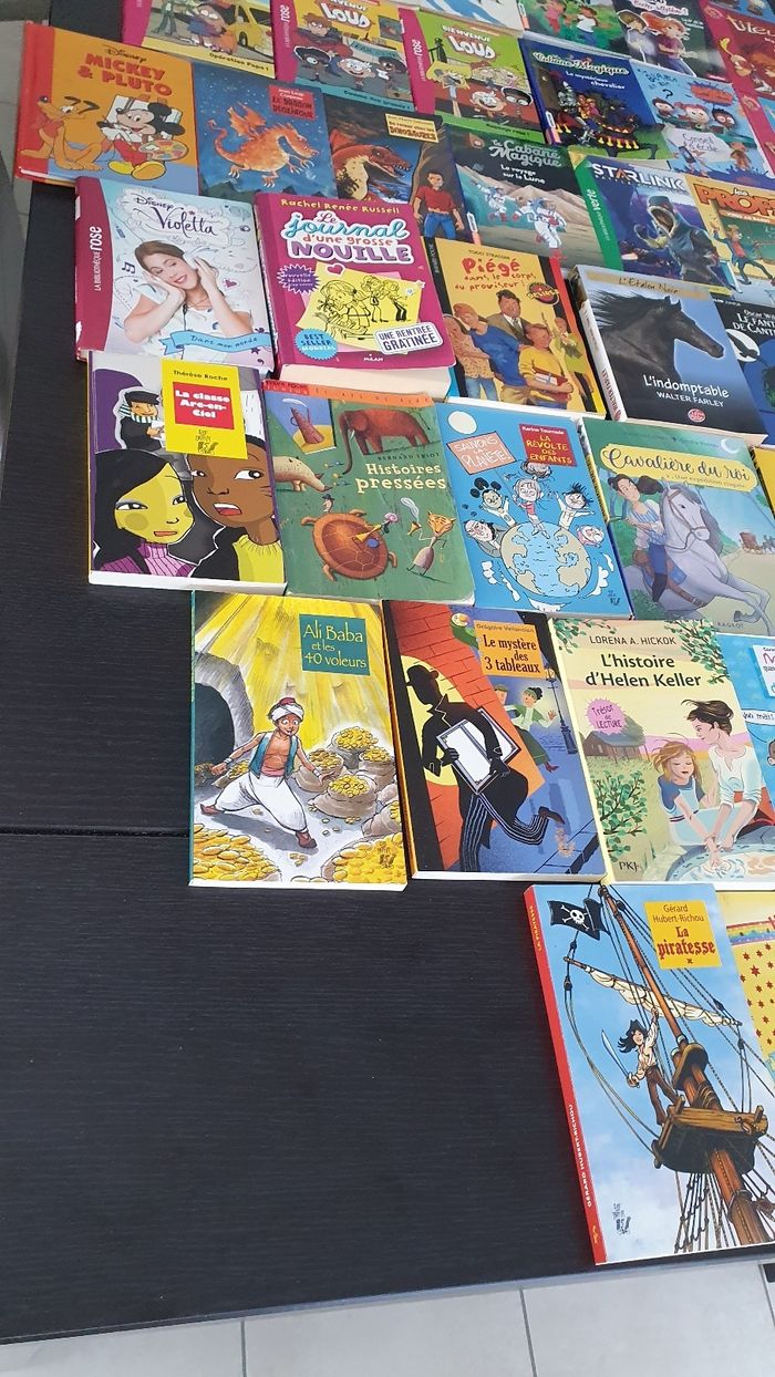 Divers livres pour les 6/12 ans - photo numéro 7