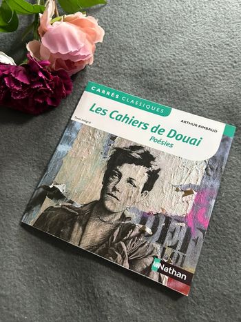 Livre les cahiers de Douai