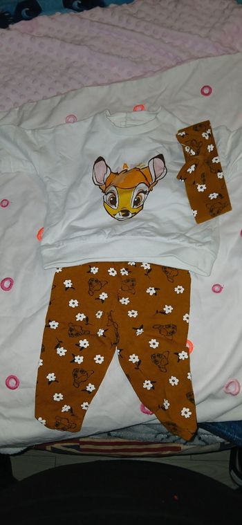 Ensemble bambi