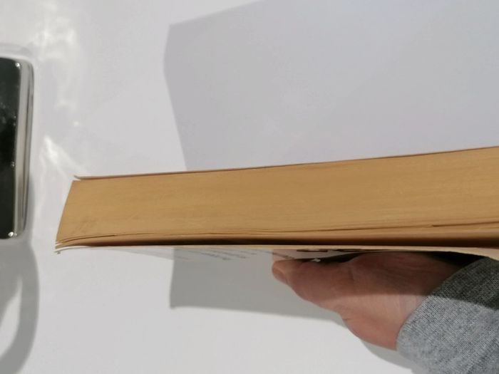 Livre pourquoi les hommes se grattent l oreille et les femmes tournent leurs alliance ? 📗 - photo numéro 8